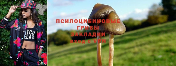 гашик Липки
