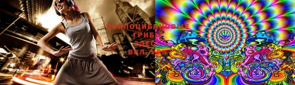 apvp Лихославль